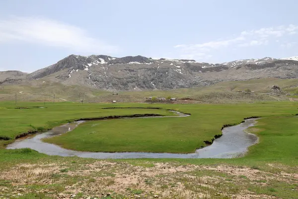 Dağ yeşili manzara. Ufuktaki ilk çimenlikte, karla kaplı dağları sersemleten doğa. Yüksek kalite fotoğraf