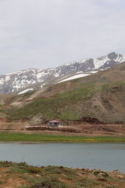 Dağ yeşili manzara. Ufuktaki ilk çimenlikte, karla kaplı dağları sersemleten doğa. Yüksek kalite fotoğraf