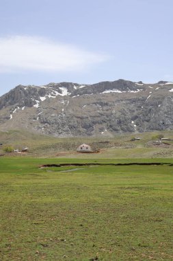 Dağ yeşili manzara. Ufuktaki ilk çimenlikte, karla kaplı dağları sersemleten doğa. Yüksek kalite fotoğraf