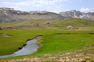 Dağ yeşili manzara. Ufuktaki ilk çimenlikte, karla kaplı dağları sersemleten doğa. Yüksek kalite fotoğraf