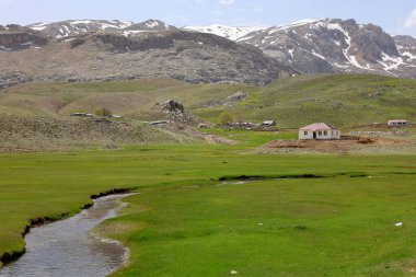 Dağ yeşili manzara. Ufuktaki ilk çimenlikte, karla kaplı dağları sersemleten doğa. Yüksek kalite fotoğraf