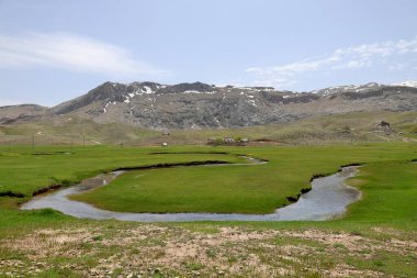 Dağ yeşili manzara. Ufuktaki ilk çimenlikte, karla kaplı dağları sersemleten doğa. Yüksek kalite fotoğraf