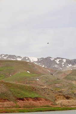 Dağ yeşili manzara. Ufuktaki ilk çimenlikte, karla kaplı dağları sersemleten doğa. Yüksek kalite fotoğraf