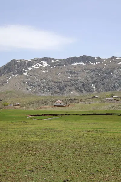 Dağ yeşili manzara. Ufuktaki ilk çimenlikte, karla kaplı dağları sersemleten doğa. Yüksek kalite fotoğraf