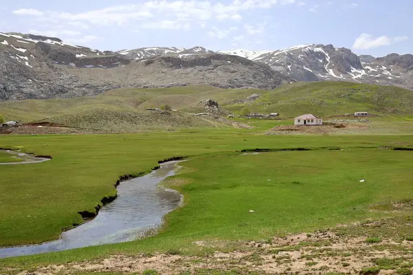 Dağ yeşili manzara. Ufuktaki ilk çimenlikte, karla kaplı dağları sersemleten doğa. Yüksek kalite fotoğraf