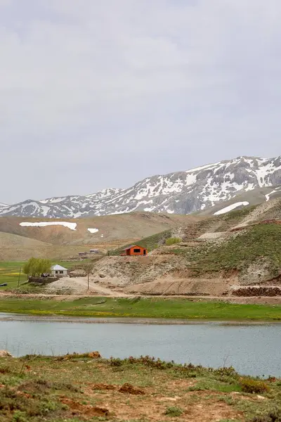 Dağ yeşili manzara. Ufuktaki ilk çimenlikte, karla kaplı dağları sersemleten doğa. Yüksek kalite fotoğraf