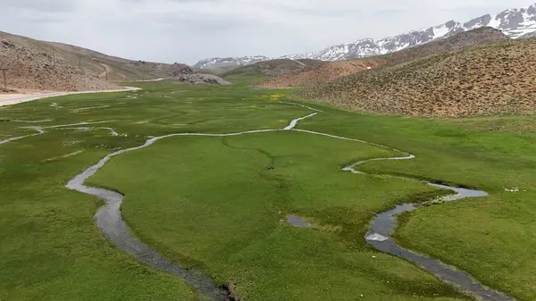 Dağ yeşili manzara. Ufuktaki ilk çimenlikte, karla kaplı dağları sersemleten doğa. Yüksek kalite fotoğraf