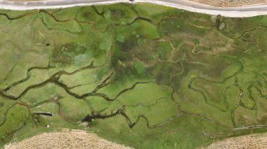 Yeşil peyzaj yolu. Yüksek kalite fotoğraf