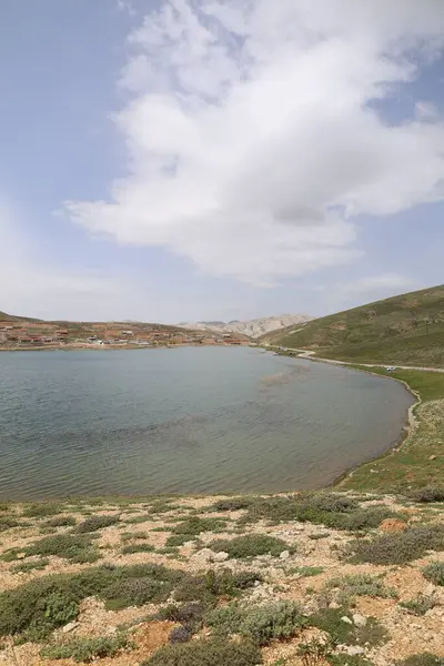 Dağ yeşili manzara. Ufuktaki ilk çimenlikte, karla kaplı dağları sersemleten doğa. Yüksek kalite fotoğraf