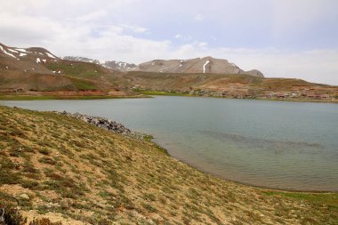 Dağ yeşili manzara. Ufuktaki ilk çimenlikte, karla kaplı dağları sersemleten doğa. Yüksek kalite fotoğraf