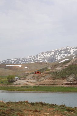 Dağ yeşili manzara. Ufuktaki ilk çimenlikte, karla kaplı dağları sersemleten doğa. Yüksek kalite fotoğraf