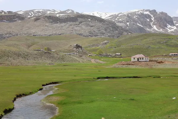 Dağ yeşili manzara. Ufuktaki ilk çimenlikte, karla kaplı dağları sersemleten doğa. Yüksek kalite fotoğraf