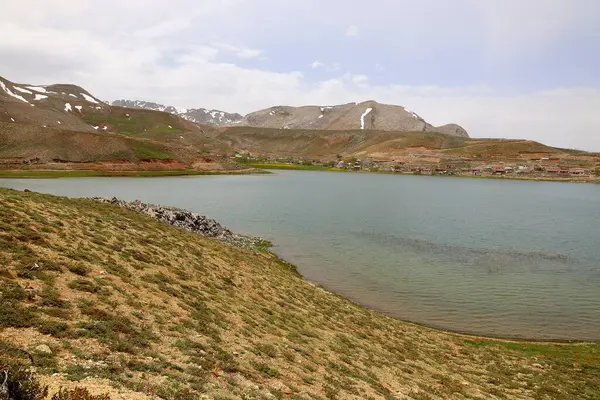Dağ yeşili manzara. Ufuktaki ilk çimenlikte, karla kaplı dağları sersemleten doğa. Yüksek kalite fotoğraf