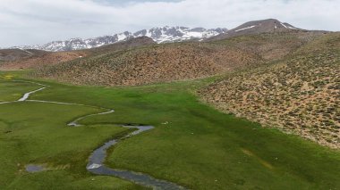Dağ yeşili manzara. Ufuktaki ilk çimenlikte, karla kaplı dağları sersemleten doğa. Yüksek kalite fotoğraf