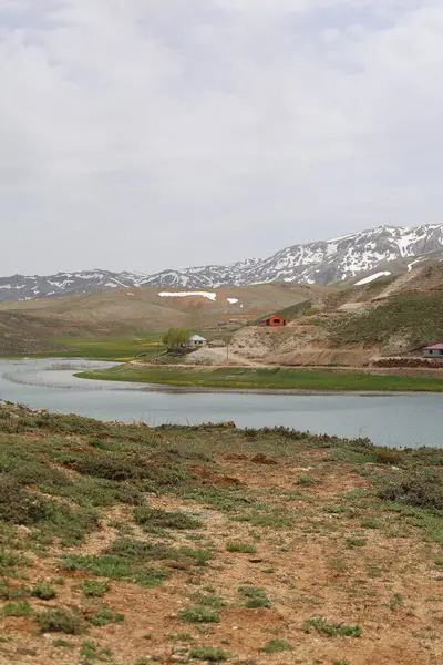 Dağ yeşili manzara. Ufuktaki ilk çimenlikte, karla kaplı dağları sersemleten doğa. Yüksek kalite fotoğraf