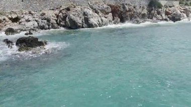 Cliffside orman kıyı şeridi Kayalık