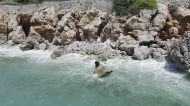 Cliffside orman kıyı şeridi Kayalık