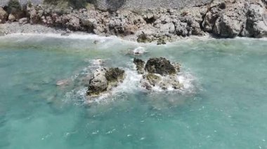 Cliffside orman kıyı şeridi Kayalık