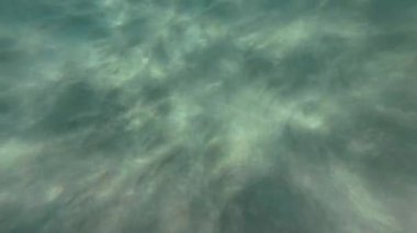 Su altında kumlu dalgalar. Temiz dalgalı su. Yüksek kalite 4k görüntü