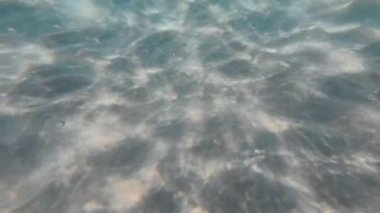 Su altında kumlu dalgalar. Temiz dalgalı su. Yüksek kalite 4k görüntü