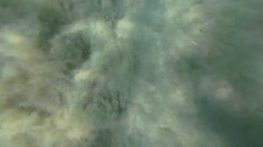 Su altında kumlu dalgalar. Temiz dalgalı su. Yüksek kalite 4k görüntü