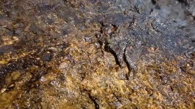 Su altında kumlu dalgalar. Temiz dalgalı su. Yüksek kalite 4k görüntü