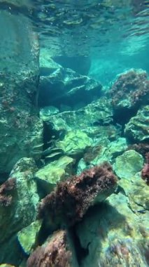 Su altında kumlu dalgalar. Temiz dalgalı su. Yüksek kalite 4k görüntü