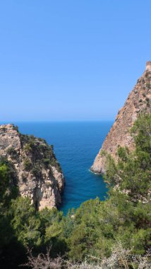 Kayalıklar okyanus ağaçları. Yüksek kalite 4k görüntü