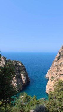 Kayalıklar okyanus ağaçları. Yüksek kalite 4k görüntü