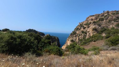 Kayalıklar okyanus ağaçları. Yüksek kalite 4k görüntü