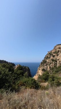 Kayalıklar okyanus ağaçları. Yüksek kalite 4k görüntü