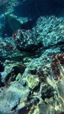 Su altında kumlu dalgalar. Temiz dalgalı su. Yüksek kalite 4k görüntü