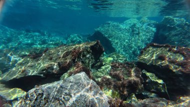 Su altında kumlu dalgalar. Temiz dalgalı su. Yüksek kalite 4k görüntü