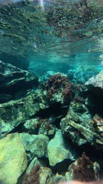 Su altında kumlu dalgalar. Temiz dalgalı su. Yüksek kalite 4k görüntü