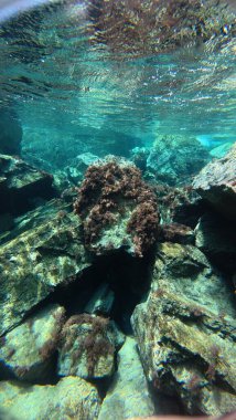 Su altında kumlu dalgalar. Temiz dalgalı su. Yüksek kalite 4k görüntü