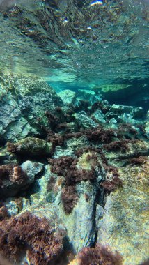 Su altında kumlu dalgalar. Temiz dalgalı su. Yüksek kalite 4k görüntü