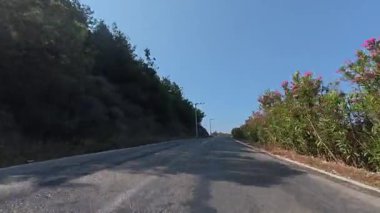 Yol yeşilliği tepesi. Yüksek kalite 4k görüntü