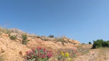 Boş kırsal yol. Yol yeşilliği tepesi. Yüksek kalite 4k görüntü