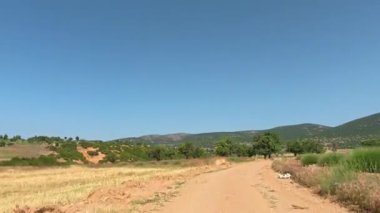 Boş kırsal yol. Yol yeşilliği tepesi. Yüksek kalite 4k görüntü