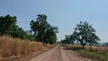 Boş kırsal yol. Yol yeşilliği tepesi. Yüksek kalite 4k görüntü