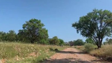 Boş kırsal yol. Yol yeşilliği tepesi. Yüksek kalite 4k görüntü