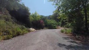 Yol yeşilliği tepesi. Yüksek kalite 4k görüntü