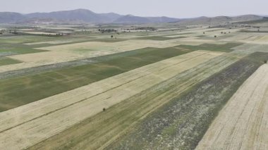 Ekinlerin dolambaçlı yolu, tarlaların havadan görünüşü 