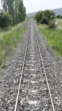 Demiryolu kırsal ağaçları. İnsansız hava aracı uçuşu, yazın doğa.