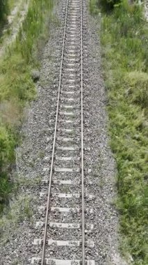 Demiryolu kırsal ağaçları. İnsansız hava aracı uçuşu, yazın doğa.