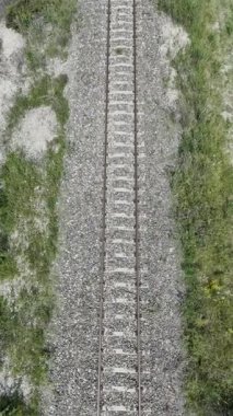 Demiryolu kırsal ağaçları. İnsansız hava aracı uçuşu, yazın doğa.