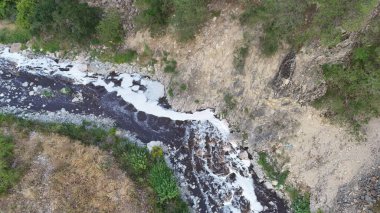 River Rocky Vadisi köpüğü. Yüksek kalite ekoloji fotoğrafı.