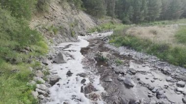 River Rocky Vadisi köpüğü. Yüksek kalite ekoloji fotoğrafı.