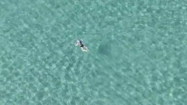 Okyanusta yüzen biri. Yüksek kalite 4k görüntü