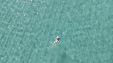 Okyanusta yüzen biri. Yüksek kalite 4k görüntü